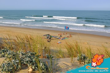 ECOLE DE SURF de la COTE SAUVAGE