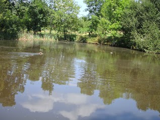 Clinique Vétérinaire du Val de l'Aurence