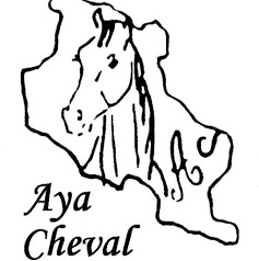 Ayacheval