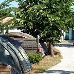 Camping Les Pins au Bois Plage en Ré - Ile de Ré