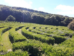 Labyrinthe Geant des Monts de Gueret