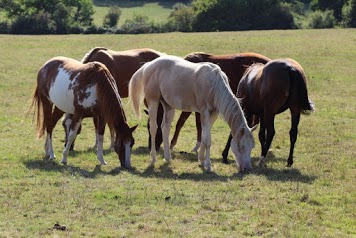 Little Rock Farm