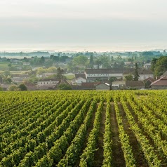 Cave coopérative de Viré (nos magasins: La Maison à Viré et le Chai à Sennecé les Mâcon)