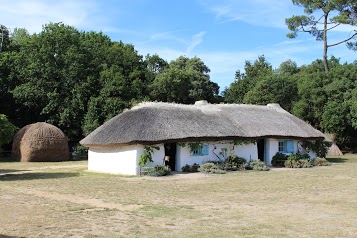 Bourrine du Bois Jucaud