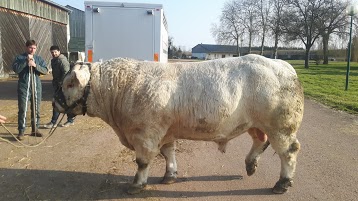 GIE Charolais du Marault