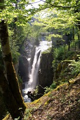 Grandes Traversées du Jura