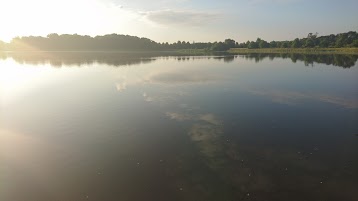 La cité des oiseaux