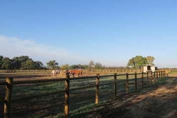 Riding School And Pony Club De Pornic