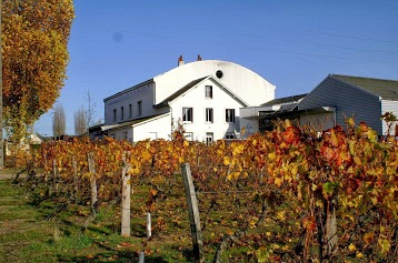 Cave des Vins de Bourgueil