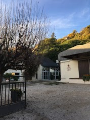 Domaine Couly-Dutheil