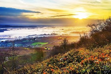 Office de Tourisme du Sancerrois