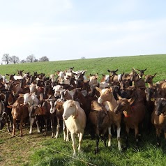 Chèvrerie des Gallands