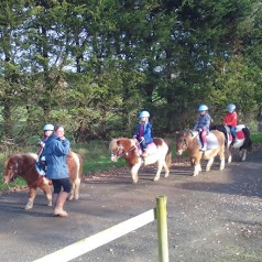 Poney Club Des Rhodos