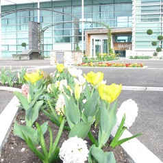 Mairie de Noidans-lès-Vesoul