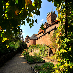 Château du Haut-Kœnigsbourg