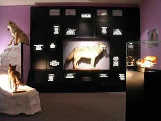 Musée du Loup