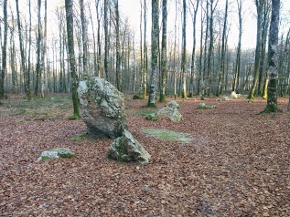 Le Cordon des Druides (Mégalithes)