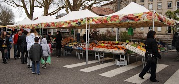 Parasols Wongleon