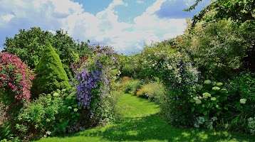 Le jardin de Bussy