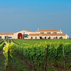 Vignoble Maxime PINARD