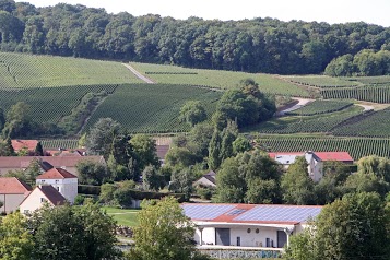 Champagne Moussé Fils