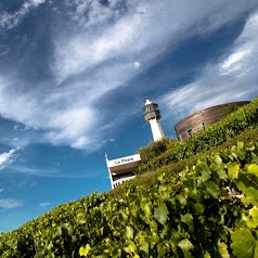 Le Phare de Verzenay en Champagne - Musée de la Vigne