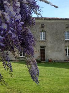 Wisteria house