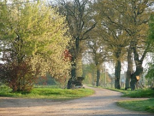 Gîte et Chambre d'hôte du Pontet - Ain