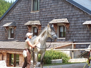 Auberge/Restaurant La Guienette