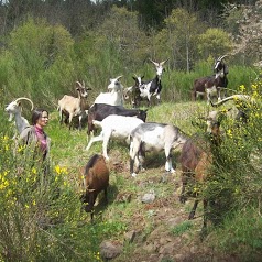 La Ferme du Bout du Monde