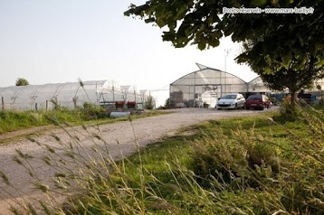 Le Potager Bio - EARL Les Serres de la Saône Jolie