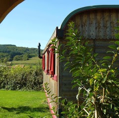 Gîte la roulotte de La Fay