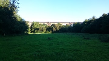 Viaduc de Moulin-Robin