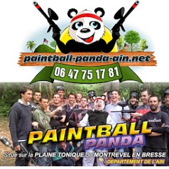 Paintball panda