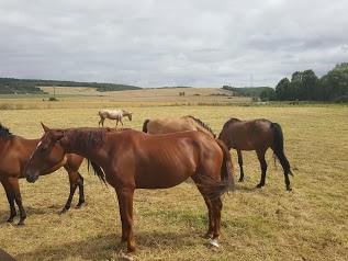 Les Ecuries de la Renaissance