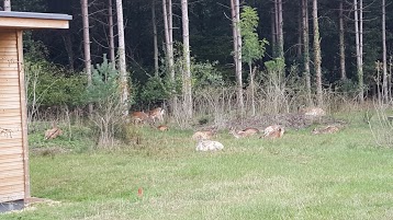 Ferienpark Center Parcs Les Bois aux Daims