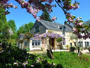 Lîle ô reflets