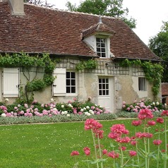 Au gros chêne