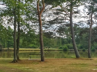 Etang de la Noue A l'Eau