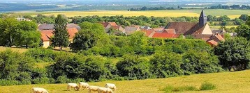 Les Gîtes de Sancerre