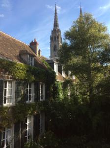 le jardin cathédrale