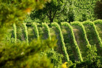 Château Martinolles