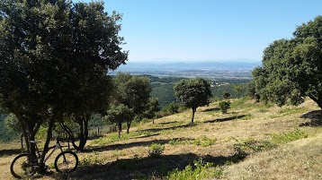 DOMAINE DE VENTAJOU