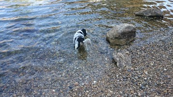 Camping du Verdon**