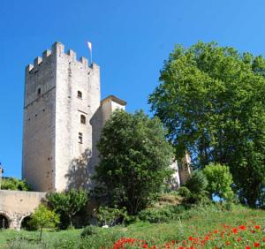 Château d'Esparron