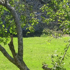 Gîte Domaine du Four et Meublé la Grangette