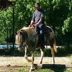 Comportementaliste, éducateur équin