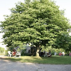 Domaine Les Gonies