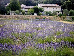 Ferme du Truinas