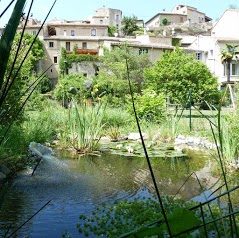 Gite Les Anoures en Provence